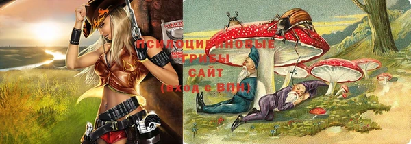 a pvp Балахна