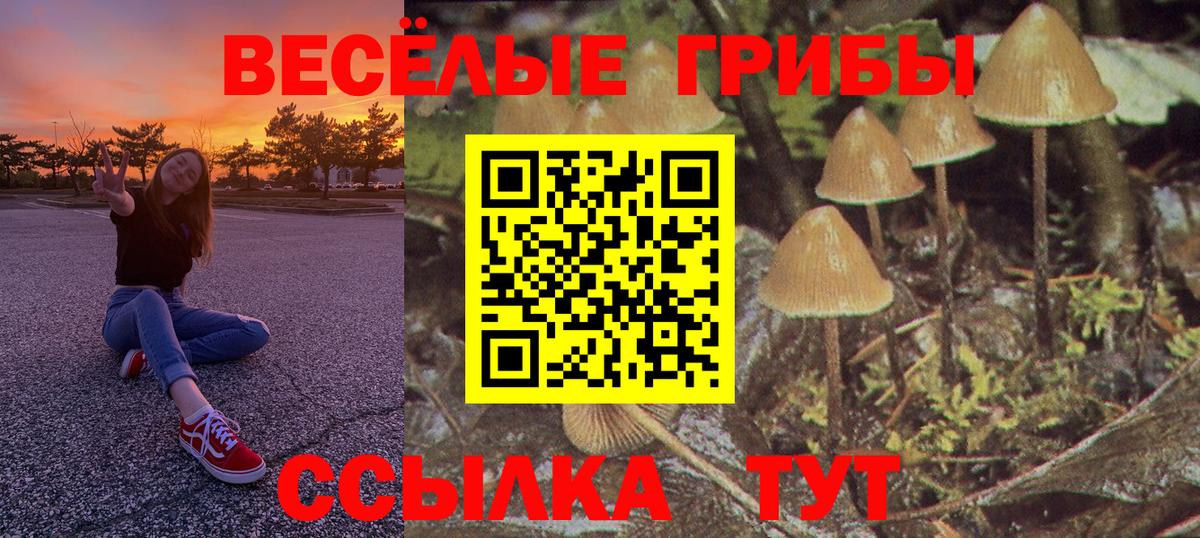 Псилоцибиновые грибы Magic Shrooms  Вход с VPN  Радужный  Псилоцибиновые грибы Psilocybe 