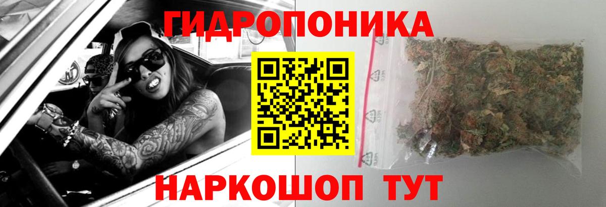 Бошки марихуана White Widow  Конопля ГИДРОПОН  Радужный  Вход с VPN  Бошки марихуана гибрид  МАРИХУАНА ГИДРОПОН 